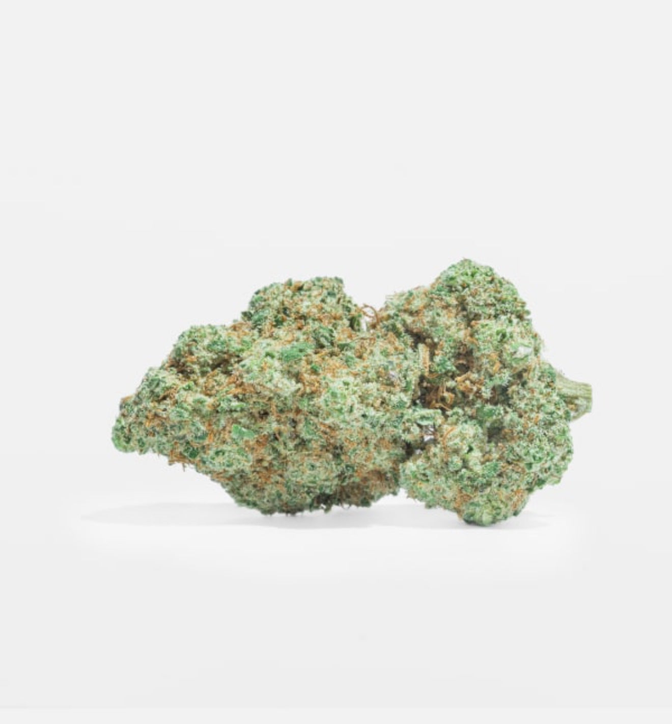 Fleur de CBD « Amnesia »